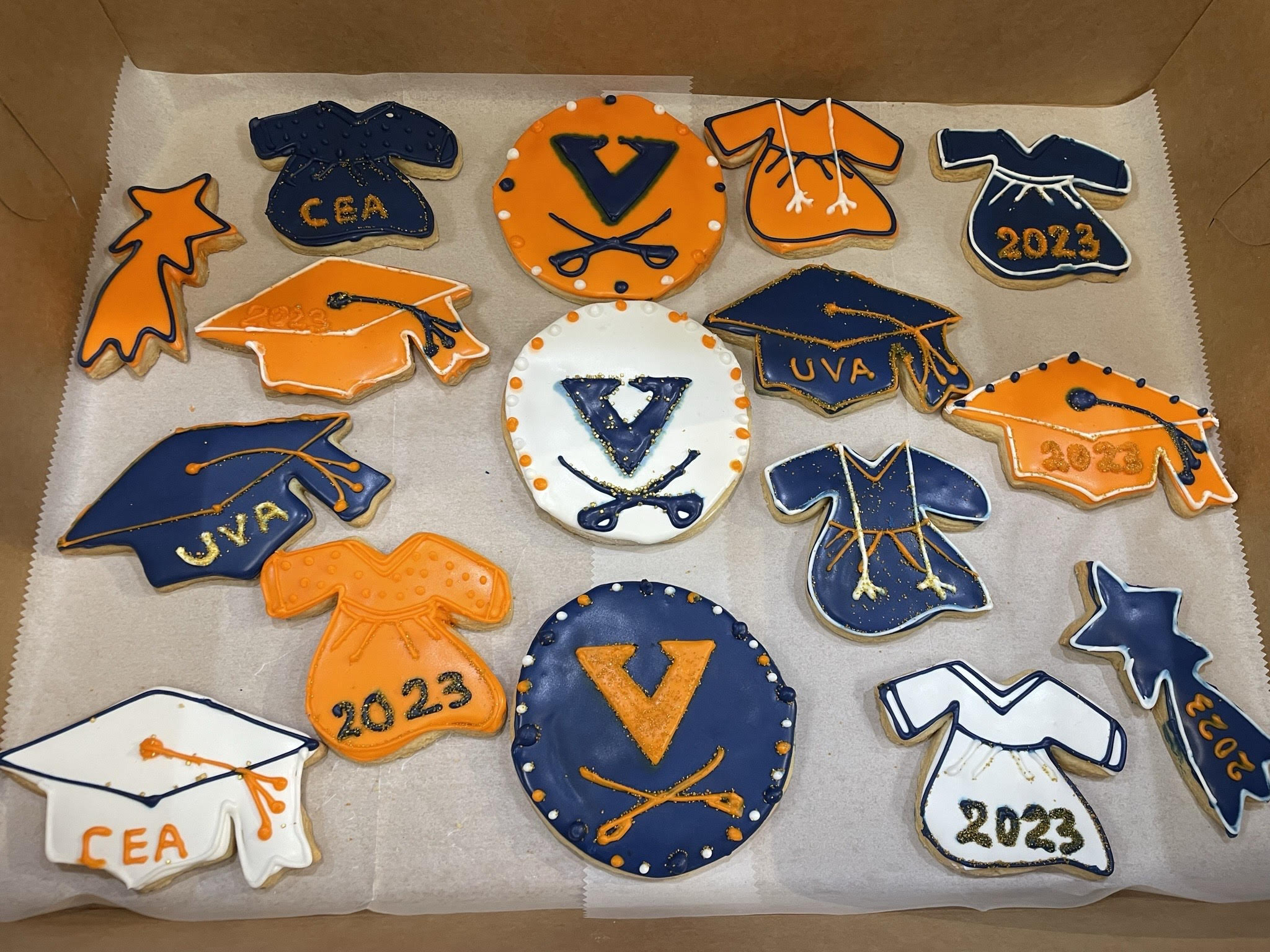 College Iced cookies